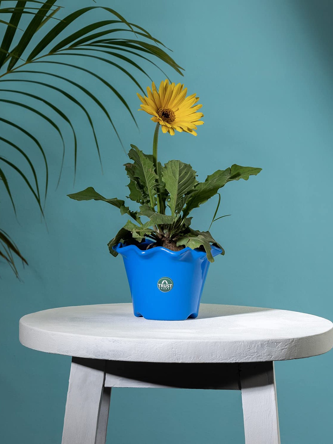 

TRUSTBASKET Blue Fade Resistant Blossom Planter