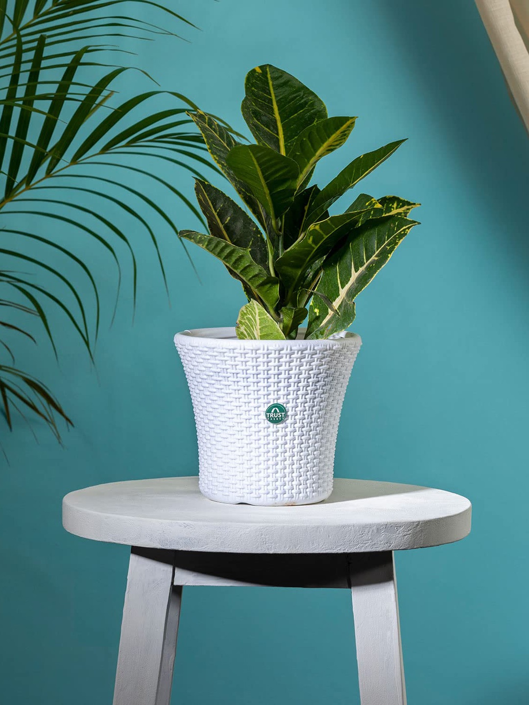 

TRUSTBASKET White Textured Helix Planter
