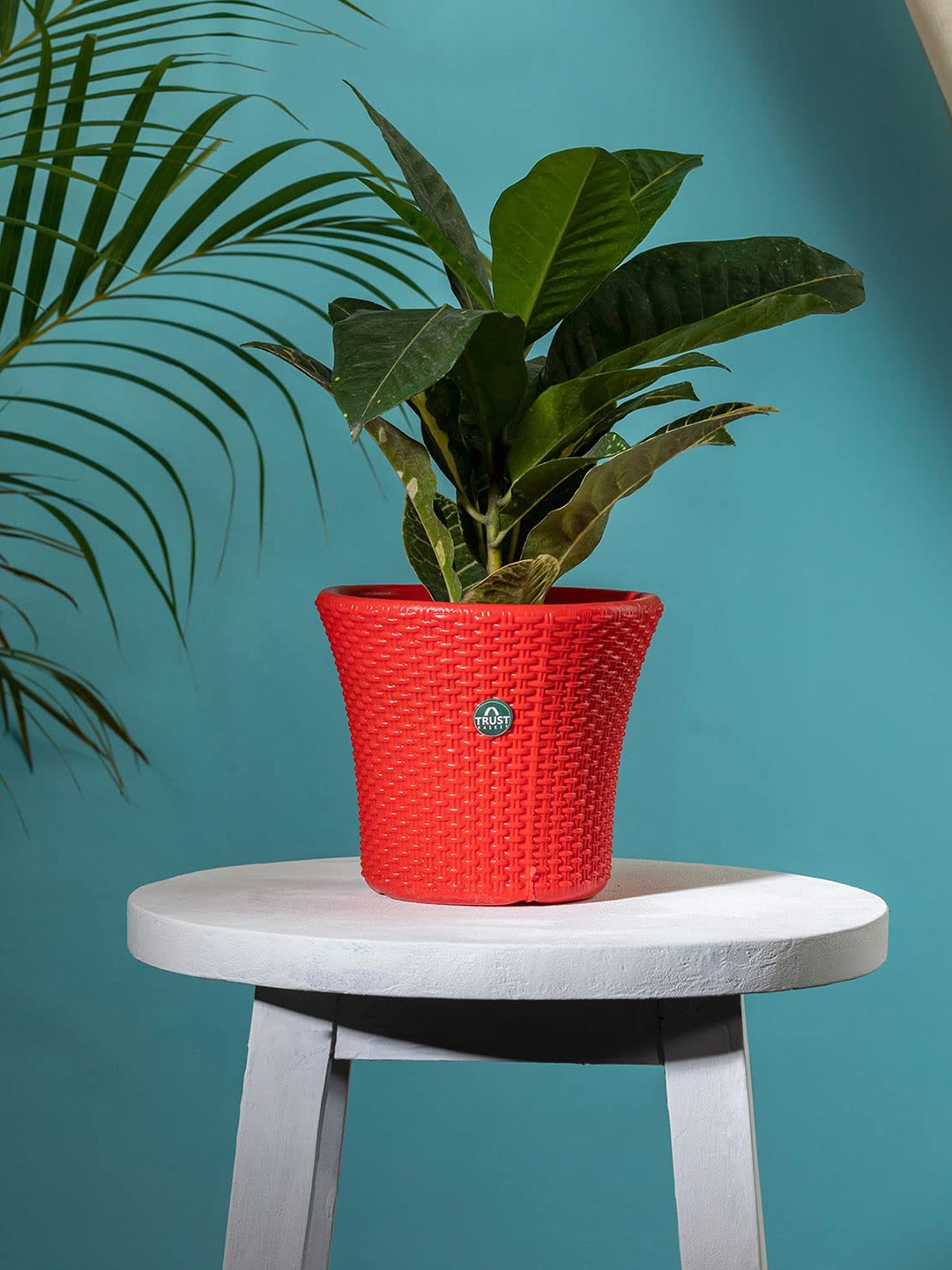 

TRUSTBASKET Red Textured Fade Resistant Helix Planter