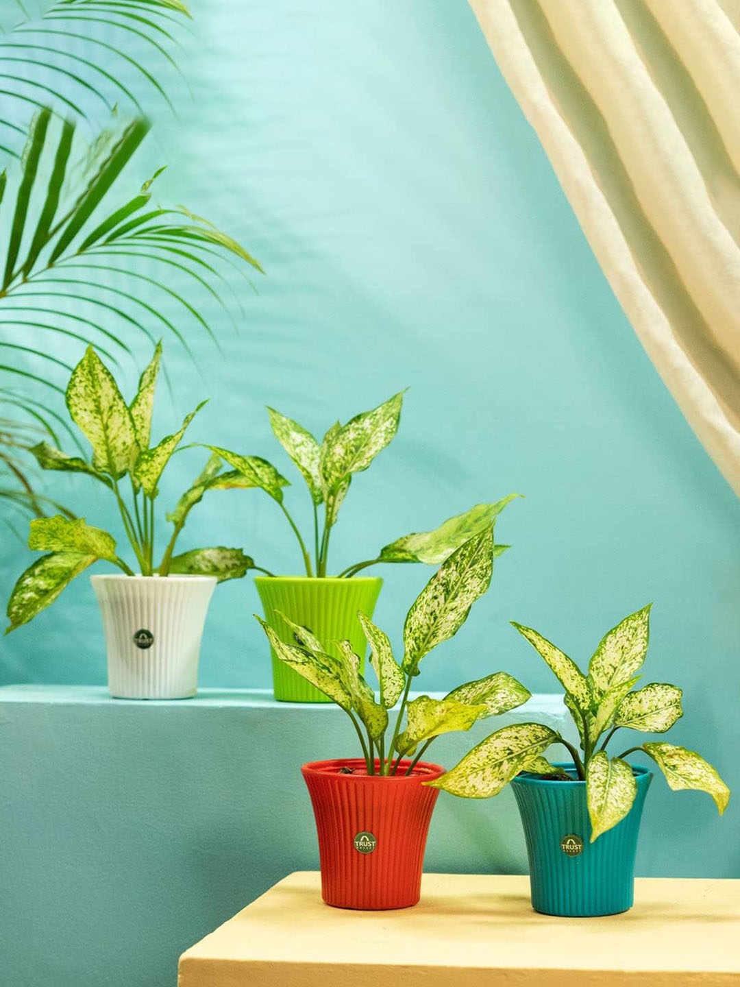 

TRUSTBASKET Blue & Red 4 Pieces Textured Tancy Planter