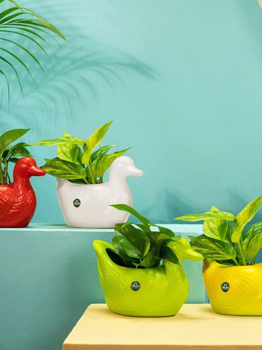 

TRUSTBASKET Green & Red 4 Pieces Duck Shaped Planters