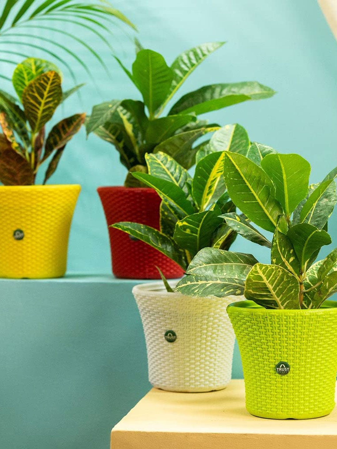 

TRUSTBASKET Green & Red 4 Pieces Textured Helix Planters