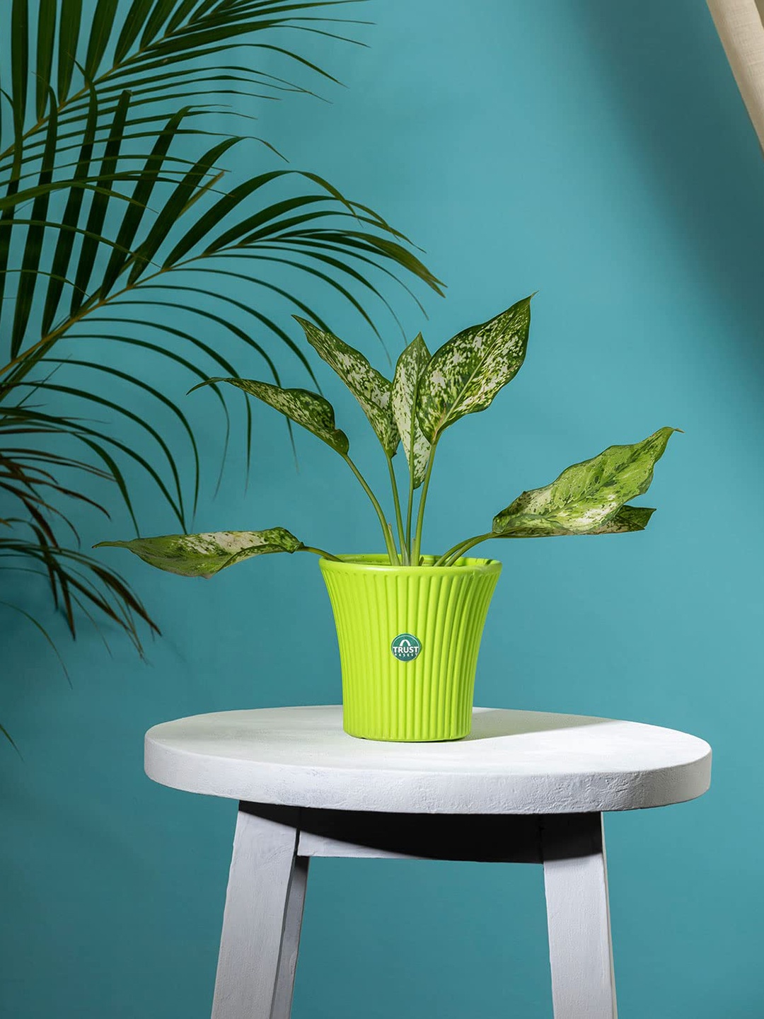 

TRUSTBASKET Green Textured Helix Planter
