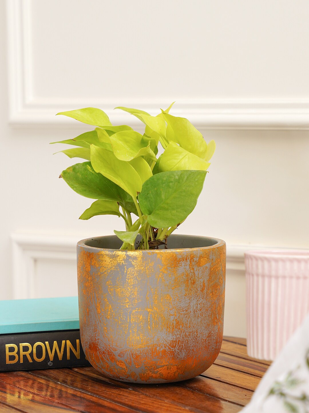 

PUREZENTO Grey & Gold Toned Terracotta Eco-Friendly Planter