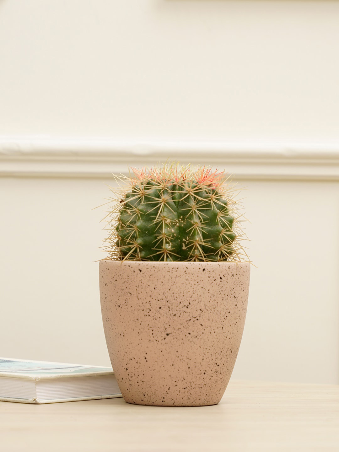 

PUREZENTO Pink Printed Marabelle Planter