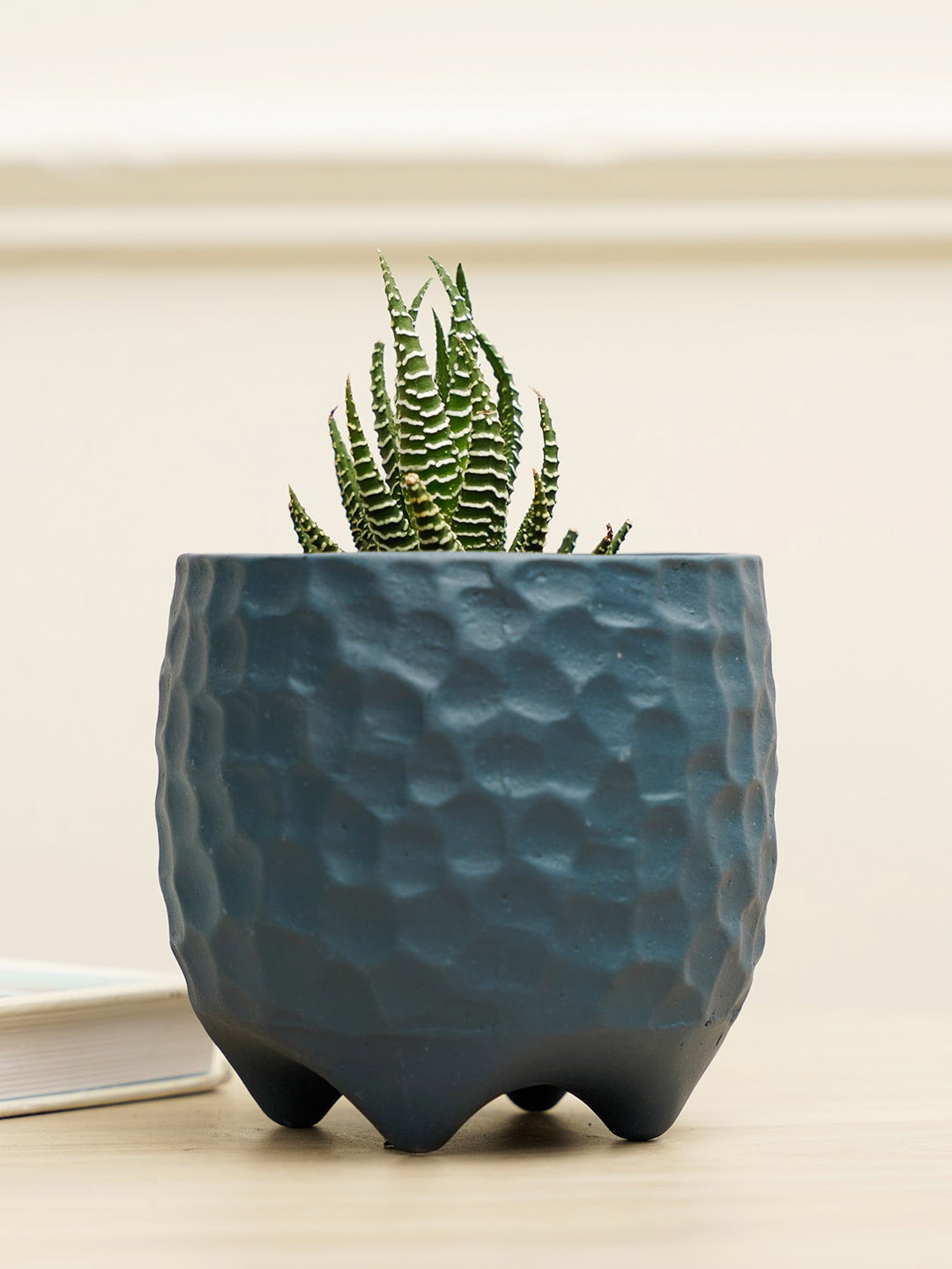 

PUREZENTO Blue Textured Pebble Planter