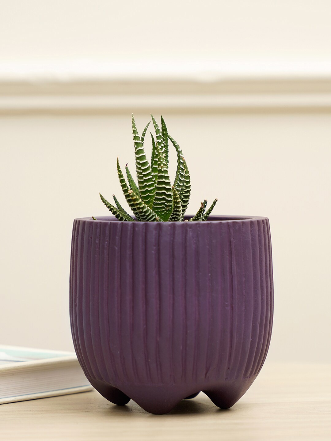 

PUREZENTO Purple Striped Terracotta UV Stable Planter
