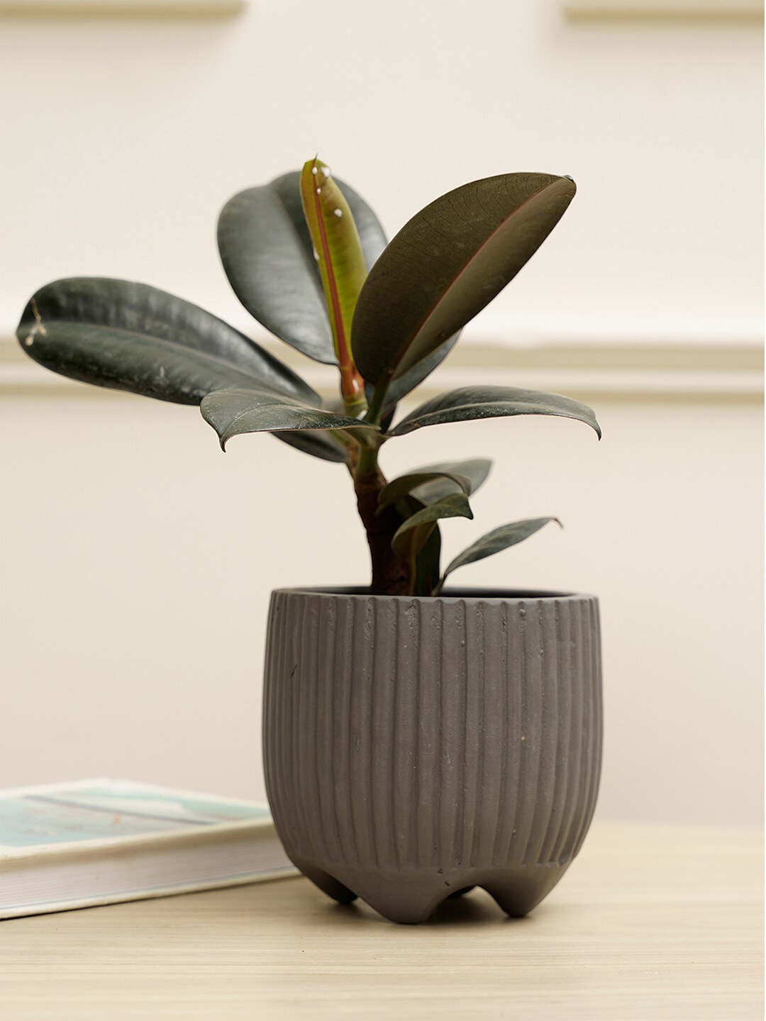 

PUREZENTO Grey Striped Terracotta UV Stable Planter