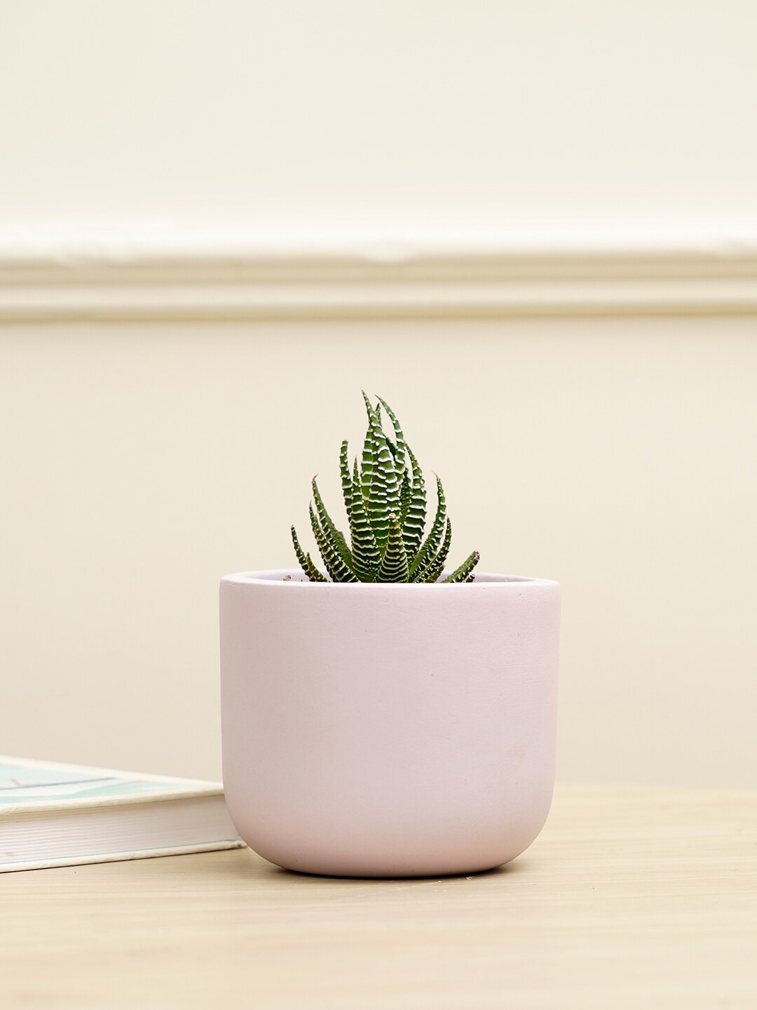 

PUREZENTO Purple Terracotta Jeanie Planter