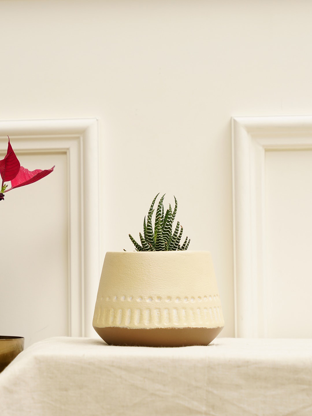 

PUREZENTO Cream-Colored Textured Gardenia Planter
