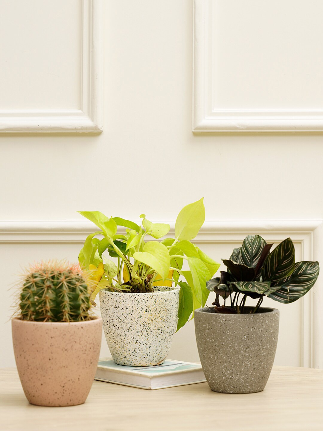 

PUREZENTO Grey & White 3 Pieces Marabelle Combo Planters