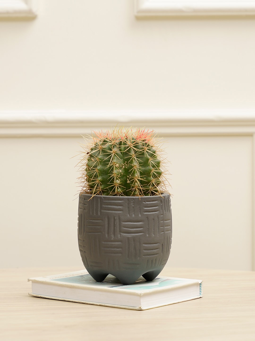 

PUREZENTO Grey Textured Monaco Eco-Friendly Planter