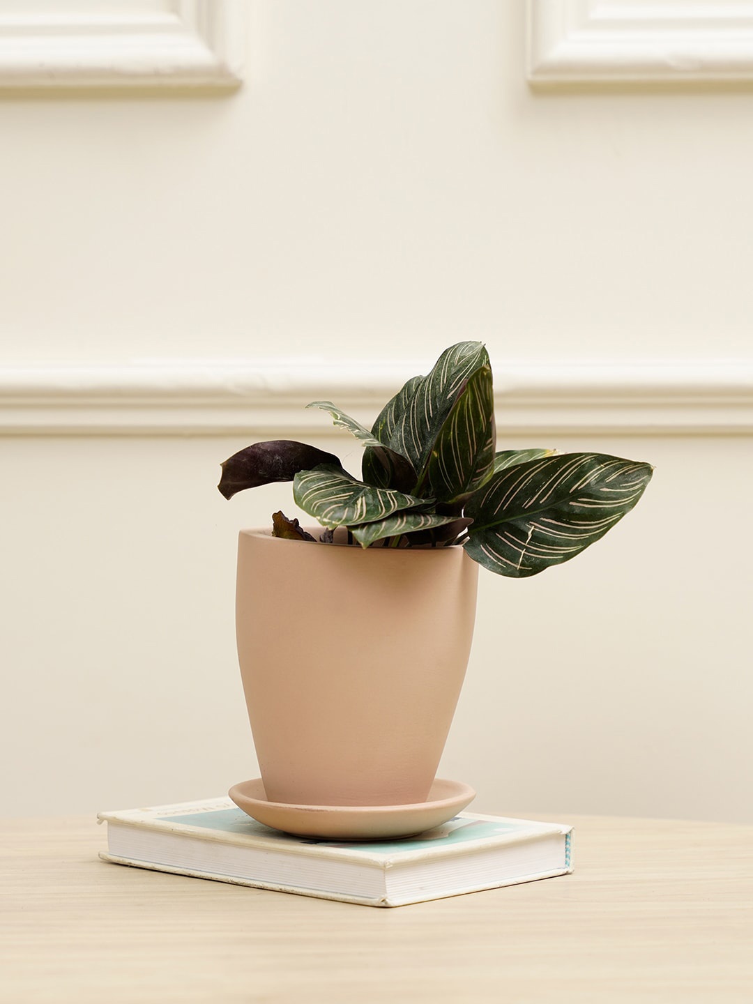 

PUREZENTO Pink Terracotta Vespa Eco-Friendly Planter