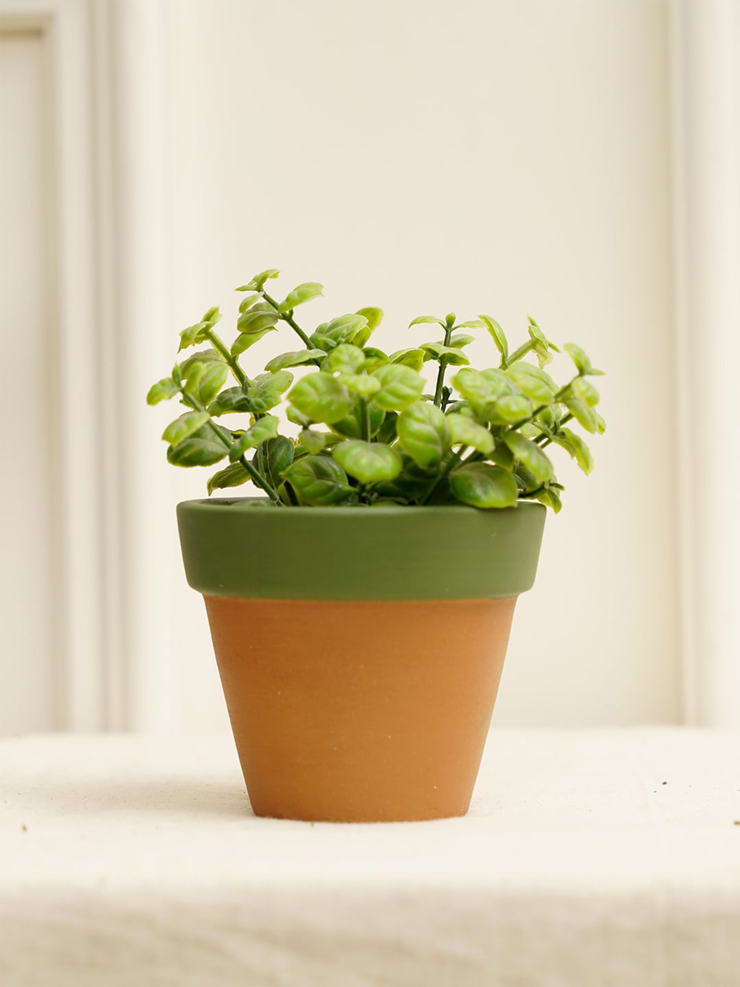 

PUREZENTO Green Terracotta Tiny Eco-Friendly Planter