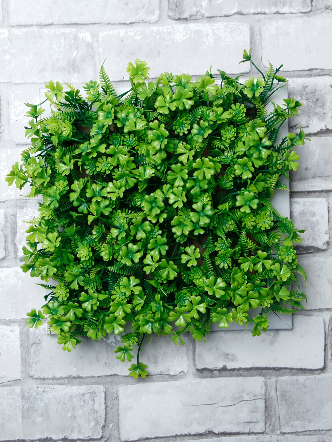 

FOLIYAJ Green Daisy Artificial Flowers With Frame