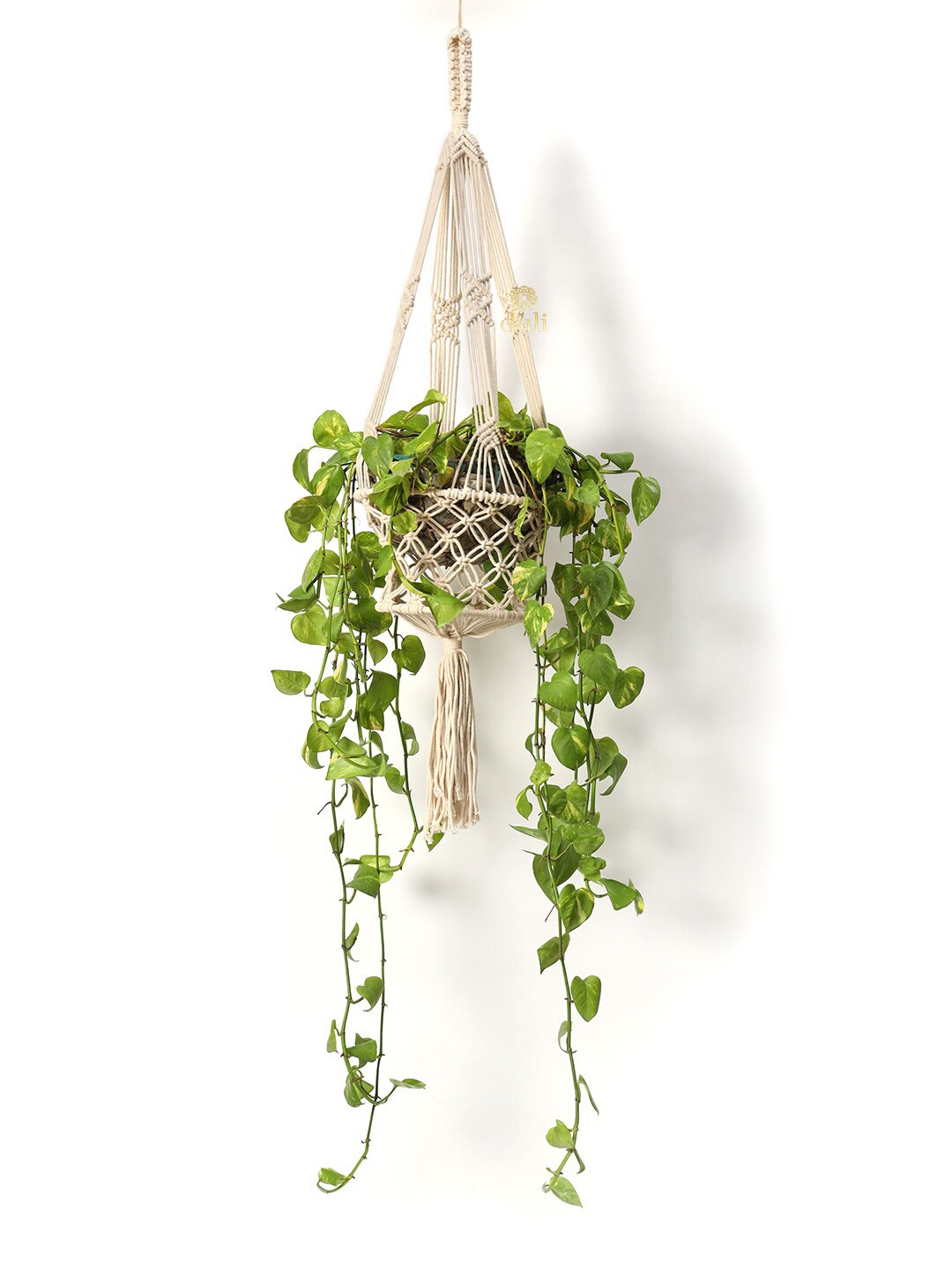 

DULI Off White Macrame Boho Basket Planter Wall Hanging
