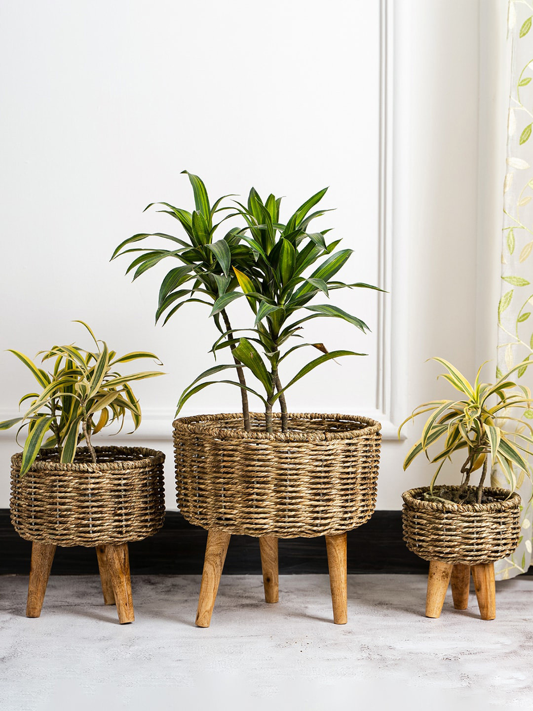 

DecorTwist Set of 3 Brown Seagrass Jute Rope Planter With Stand