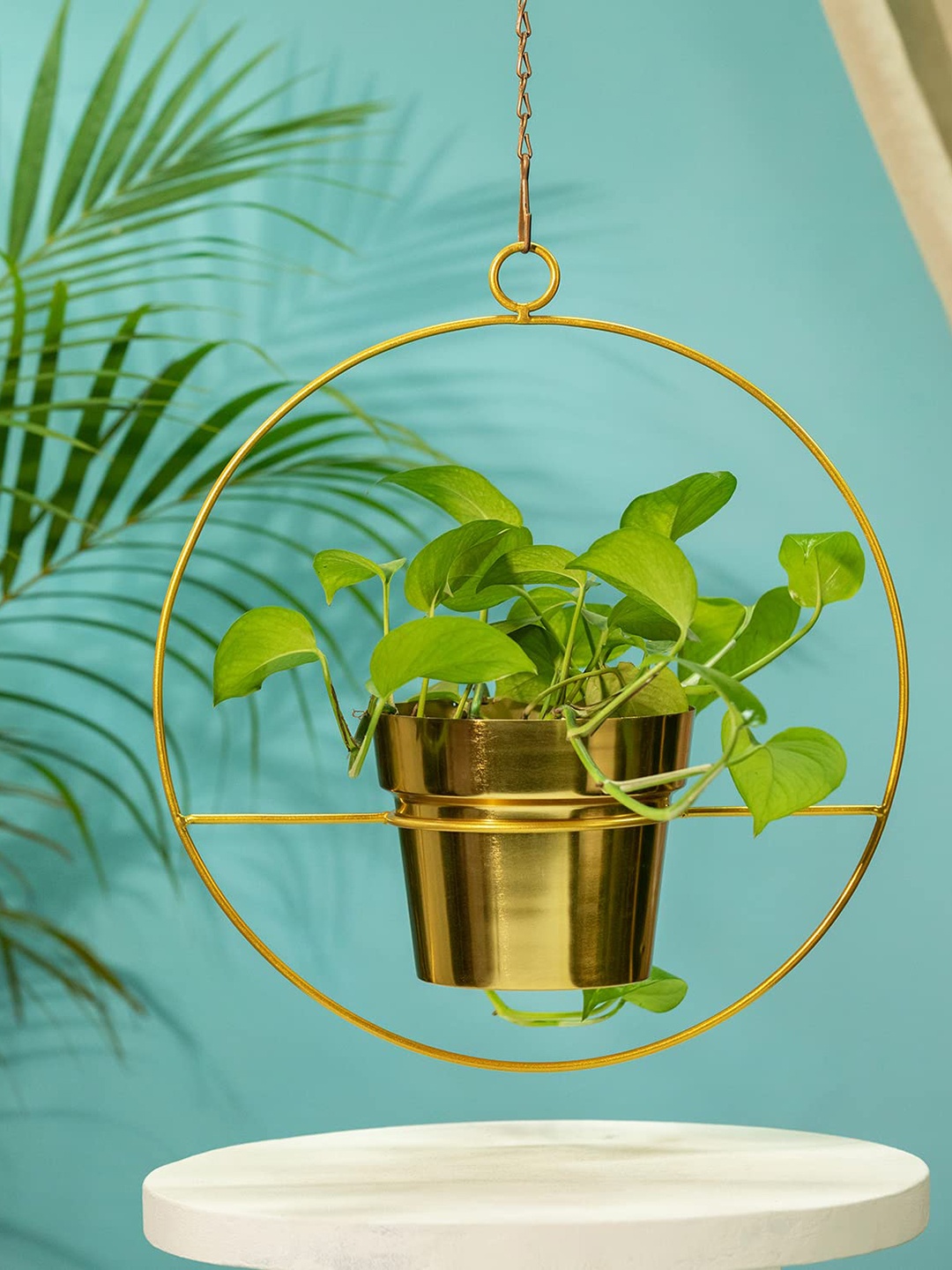 

TRUSTBASKET Gold Toned Luna Metal Hanging Planter