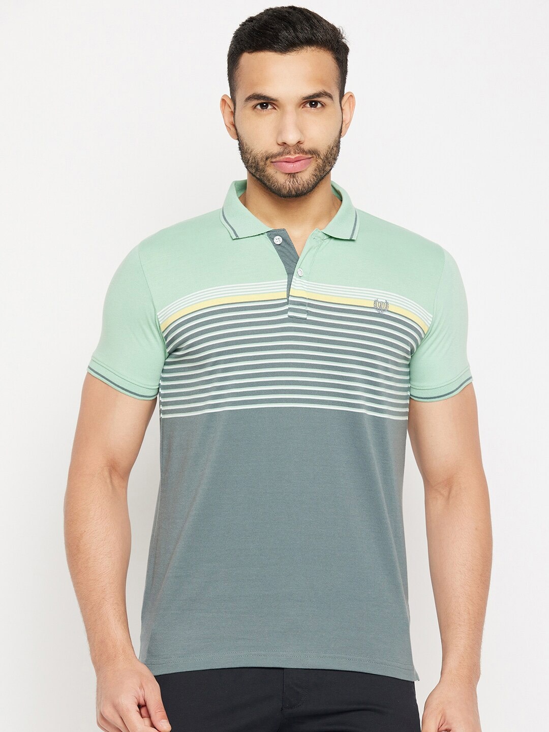 

Duke Striped Polo Collar Cotton Slim Fit T-shirt, Green