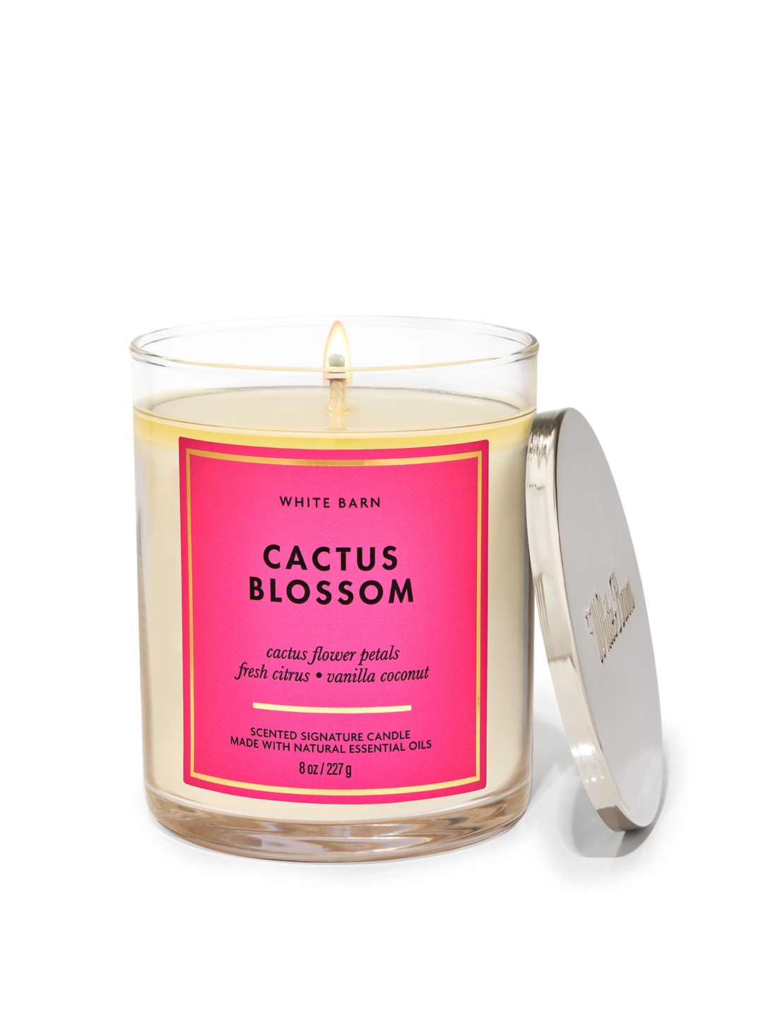 

Bath & Body Works White Barn Cactus Blossom Signature Single Wick Candle - 227 g, Pink