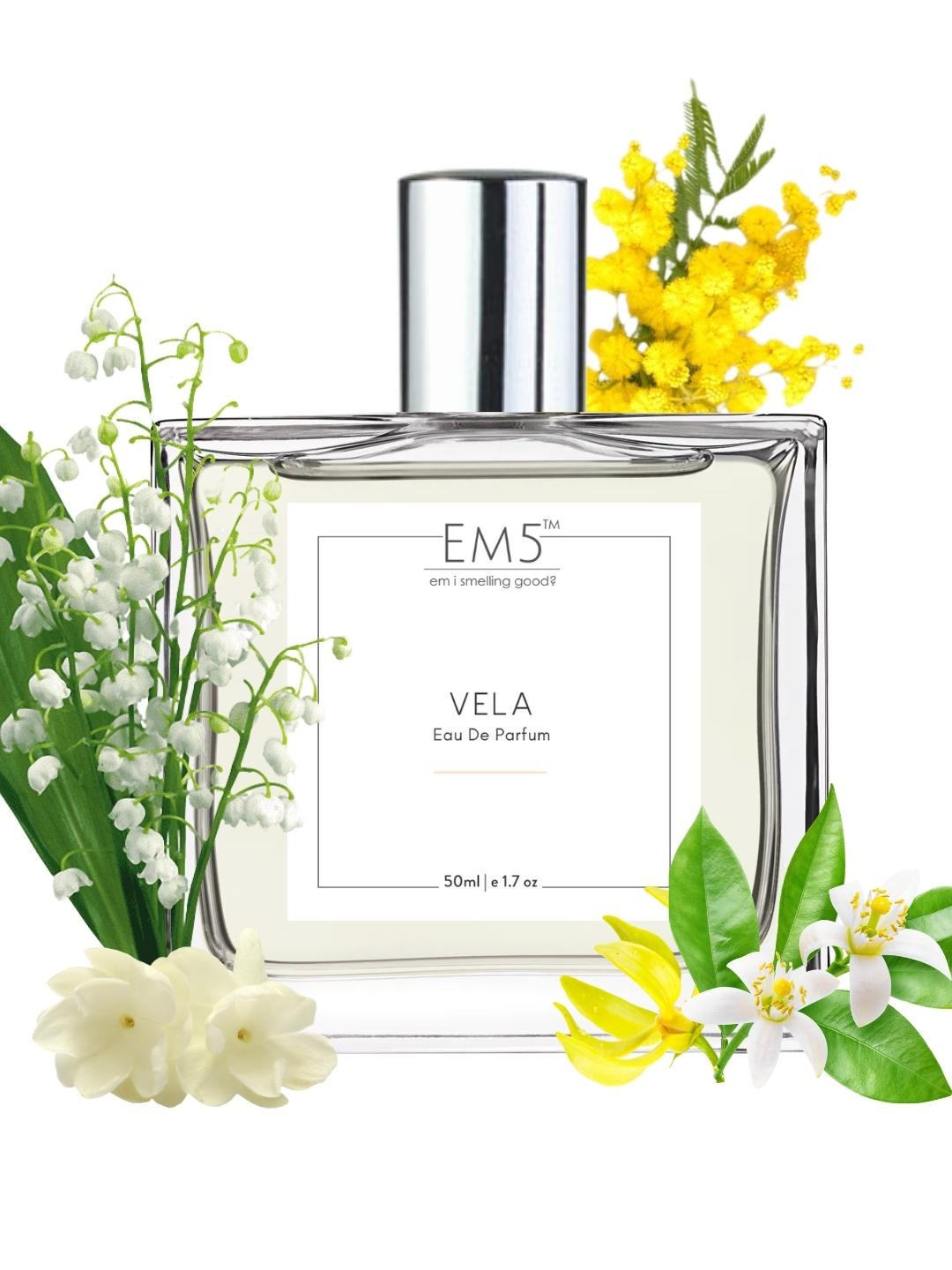 

EM5 Women Vela Long Lasting & Anti-Odour Eau De Parfum - 50 ml, Transparent