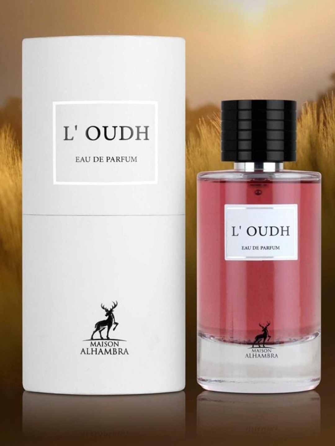 

Lattafa L'oudh Eau De Parfum - 100 ml, Pink