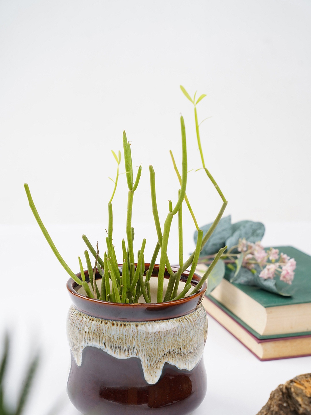 

Folkstorys Brown & White Printed Little Pile Choco Pot