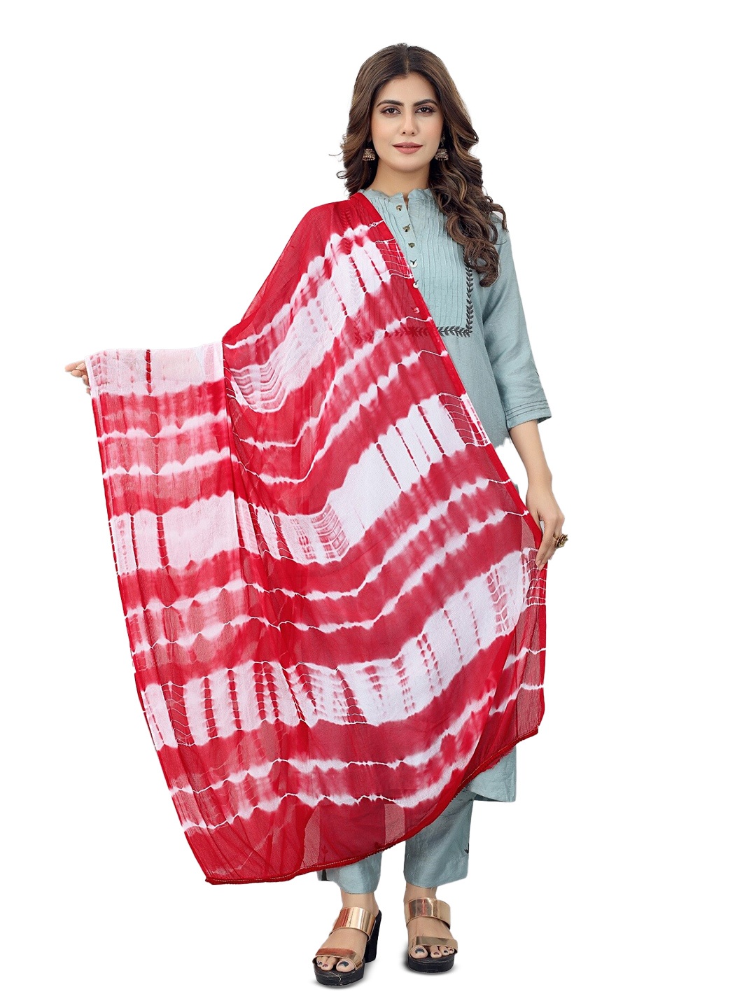 

APNISHA Printed Chiffon Dupatta, Red