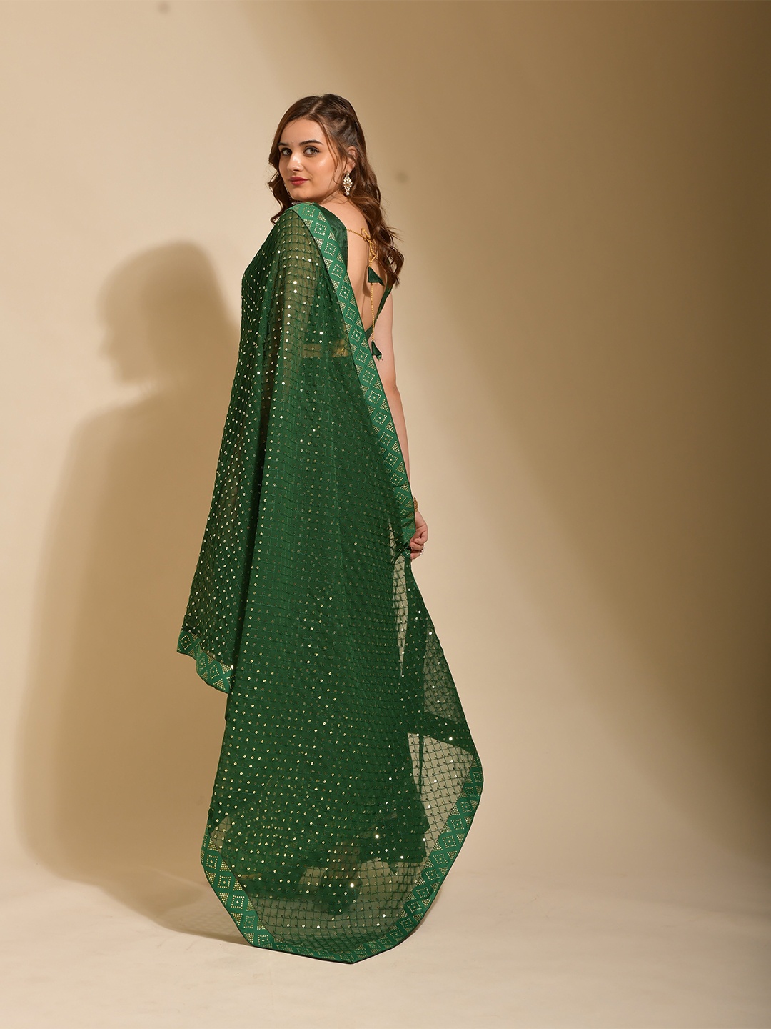 

DIVASTRI Sequinned Embroidred Saree, Green