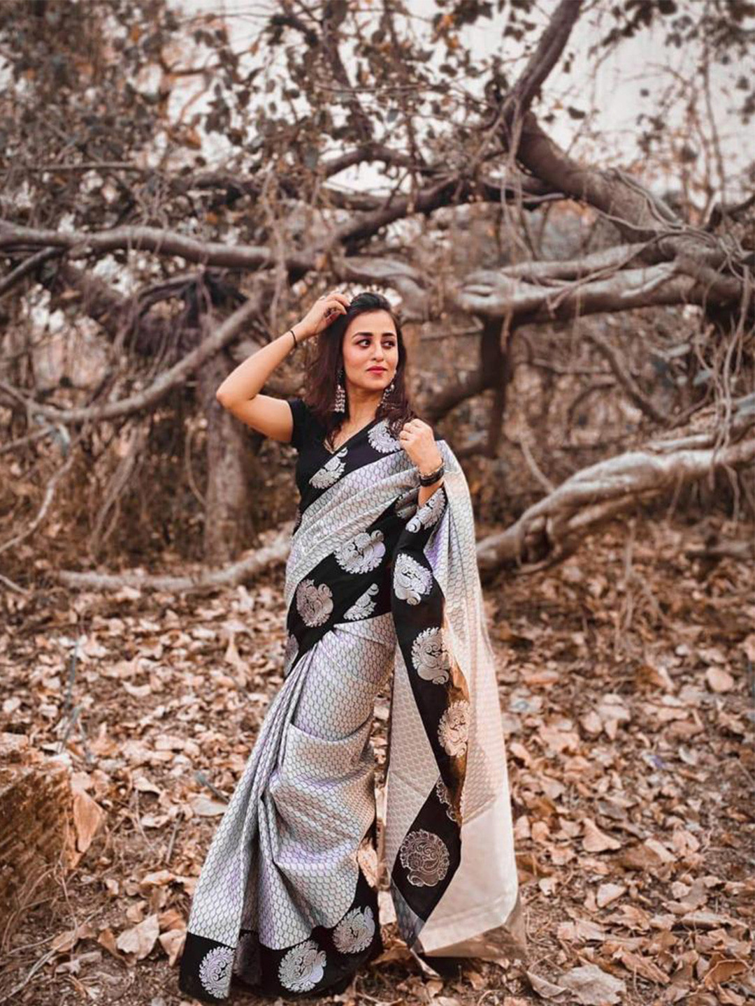 

Naishu Trendz Ethnic Woven Design Zari Pure Silk Kanjeevaram Saree, Black