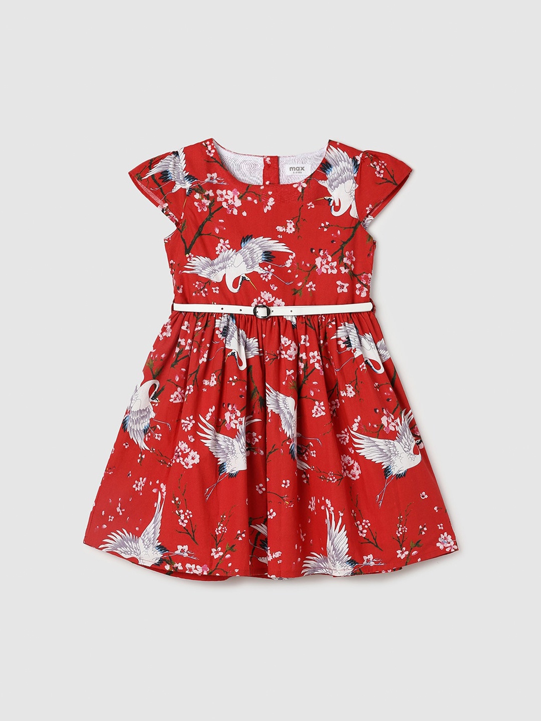

max Floral Printed Cap Sleeves Pure Cotton Fit & Flare Dress, Red