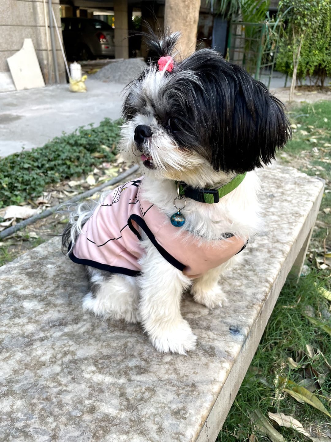 

Lulala Printed Dog Breathable & Lightweight T-Shirt, Pink