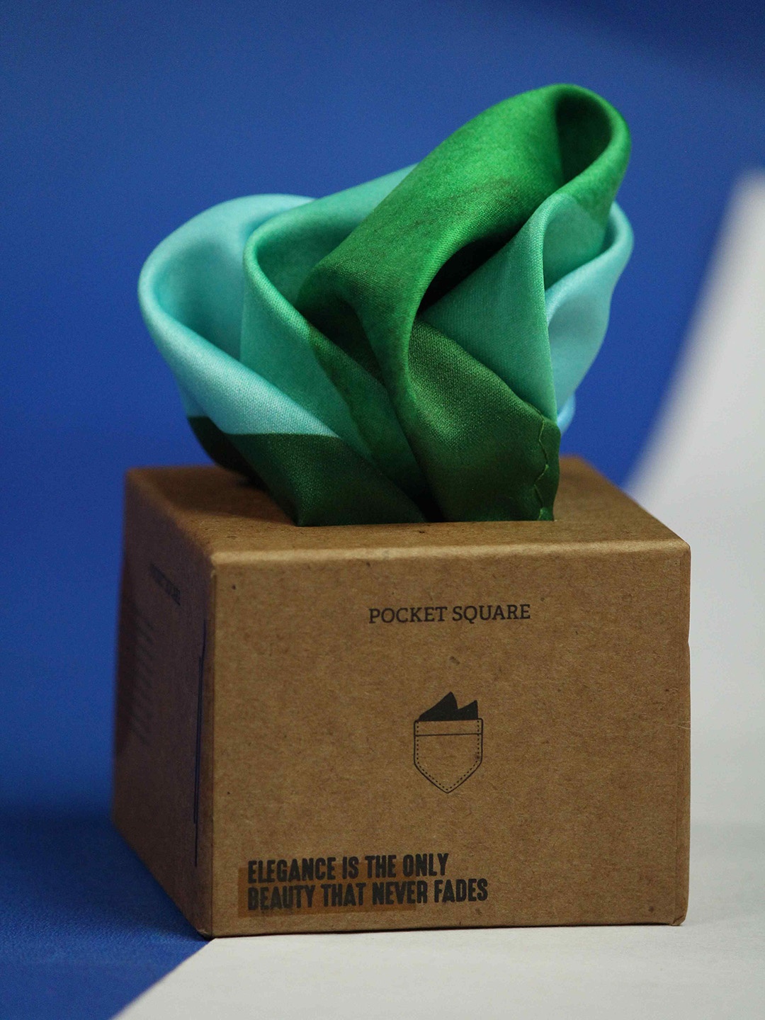 

Tossido Men Colorblocked Pocket Square, Green