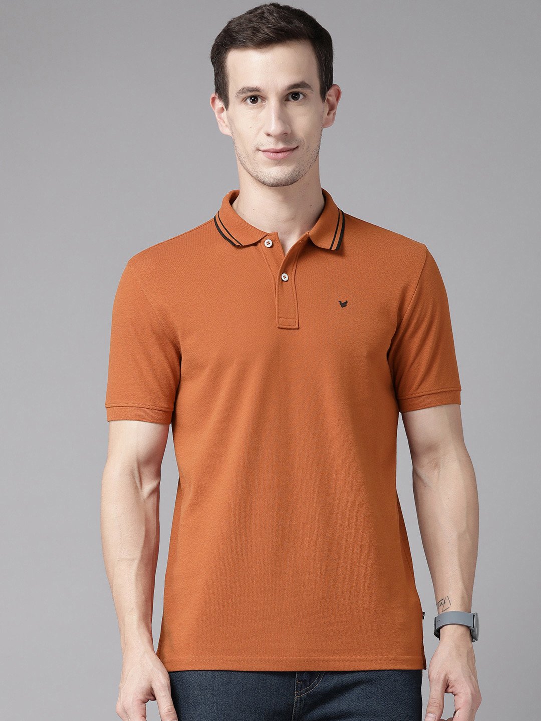 

Blackberrys Polo Collar Slim Fit Antibacterial T-shirt, Rust