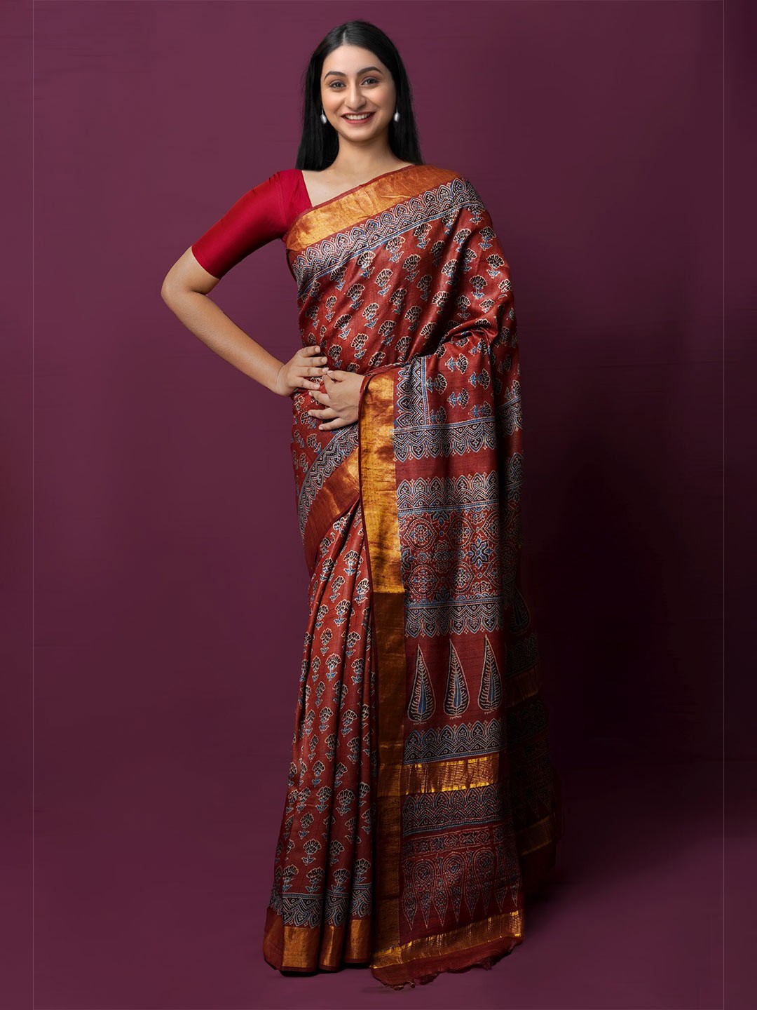 

Unnati Silks Ethnic Motifs Printed Zari Pure Silk Handloom Tussar Saree, Brown