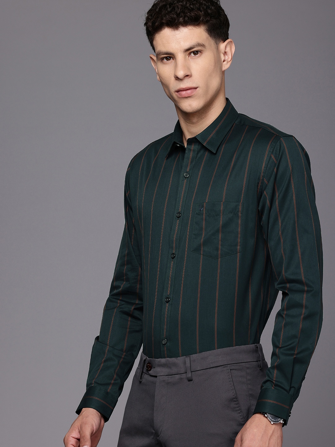 

Allen Solly Pure Cotton Classic Fit Striped Semiformal Shirt, Green