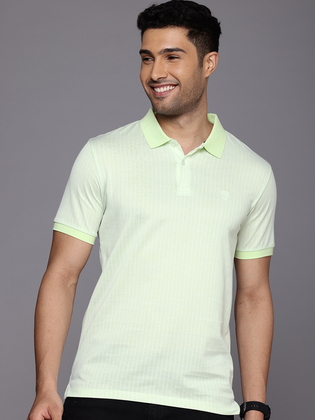 

Allen Solly Pure Cotton Striped Polo Collar T-shirt, Green