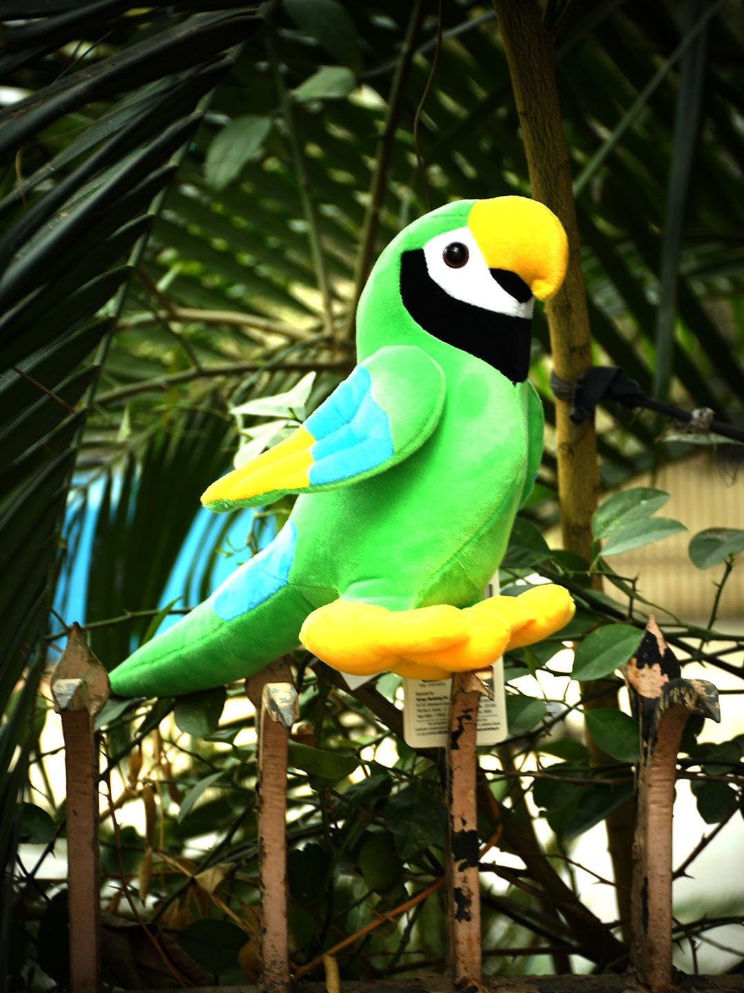 

Mirada Parrot Soft Toys, Green