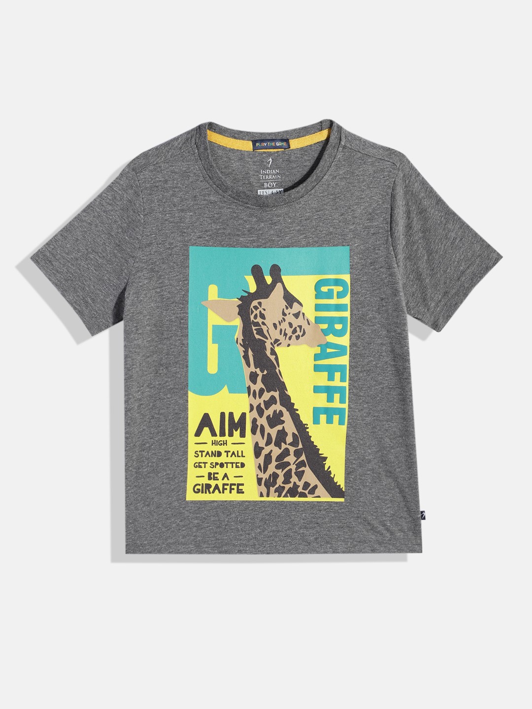 

Indian Terrain Boys Graphic Printed T-shirt, Grey