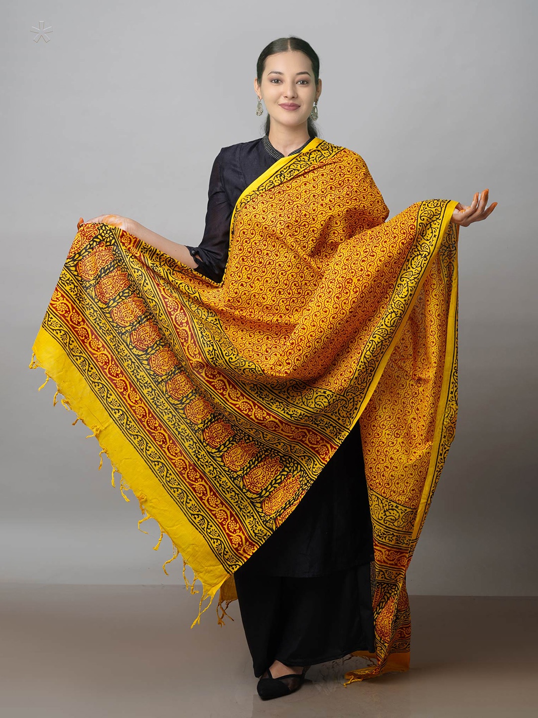 

Unnati Silks Ethnic Motifs Printed Dupatta, Yellow