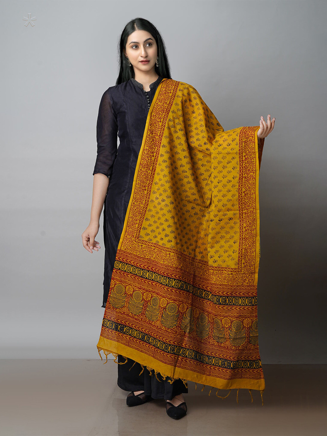 

Unnati Silks Ethnic Motifs Printed Dupatta, Green