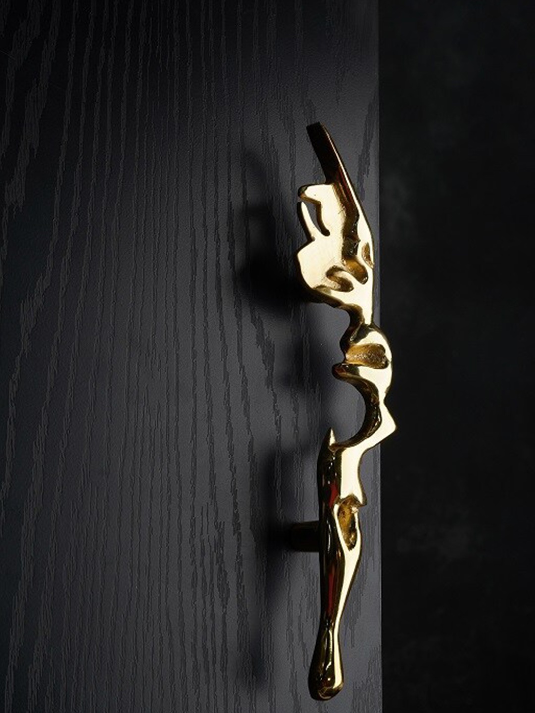 

Folkstorys Brass Designer Bark Wardrobe Door Handle, Gold