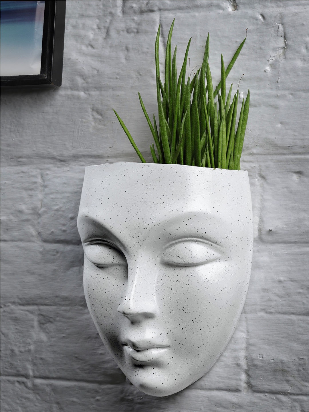 

Stylespace by Isha White Textured Wall Hanging Planter