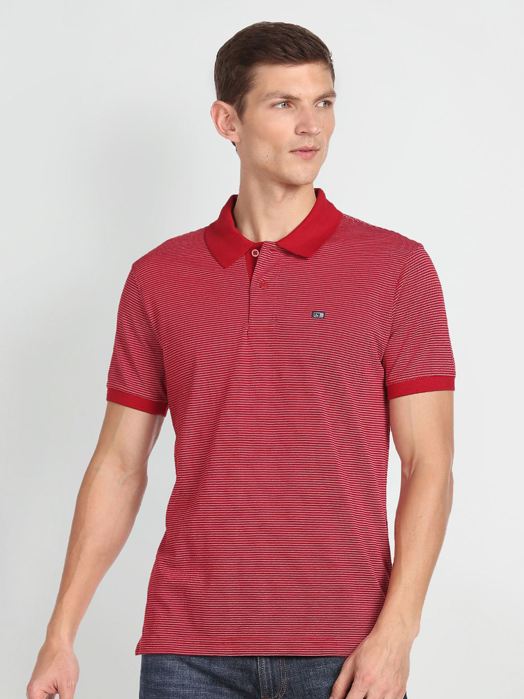 

Arrow Sport Striped Polo Collar Pure Cotton T-shirt, Red