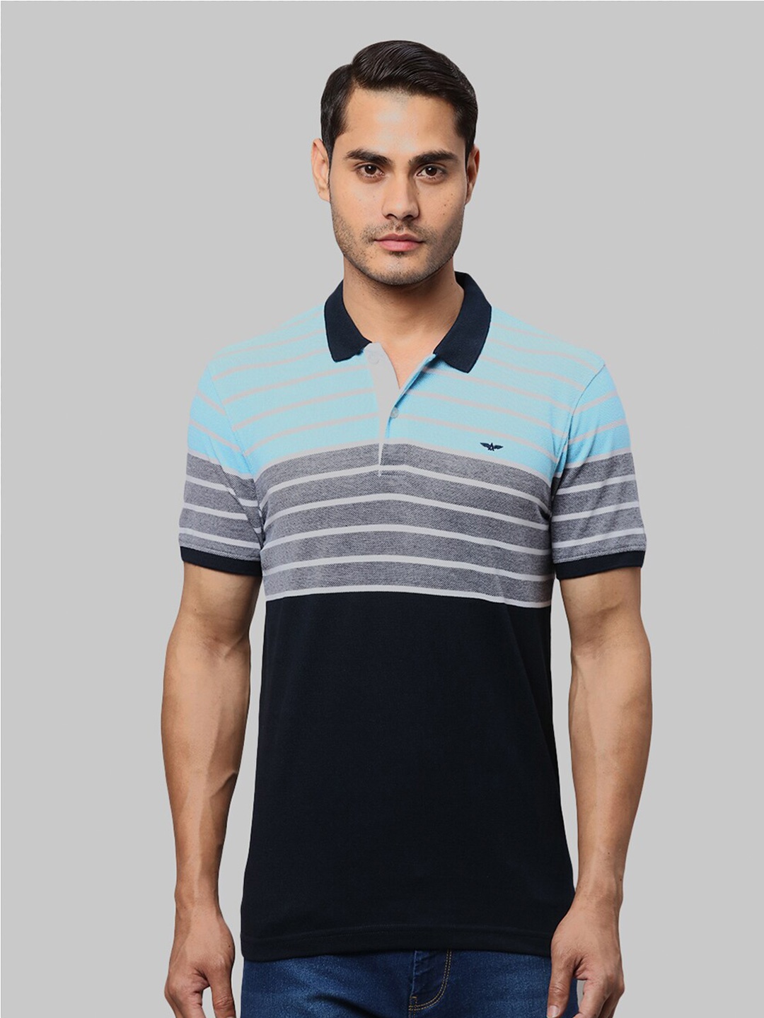 

Park Avenue Striped Polo Collar Slim Fit T-shirt, Navy blue