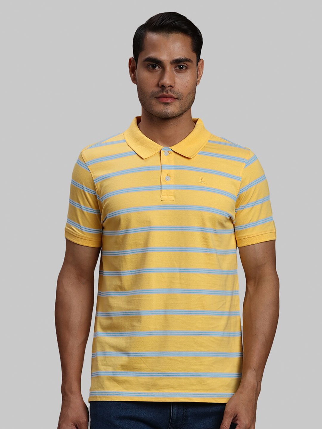 

Parx Striped Polo Collar Cotton T-shirt, Yellow