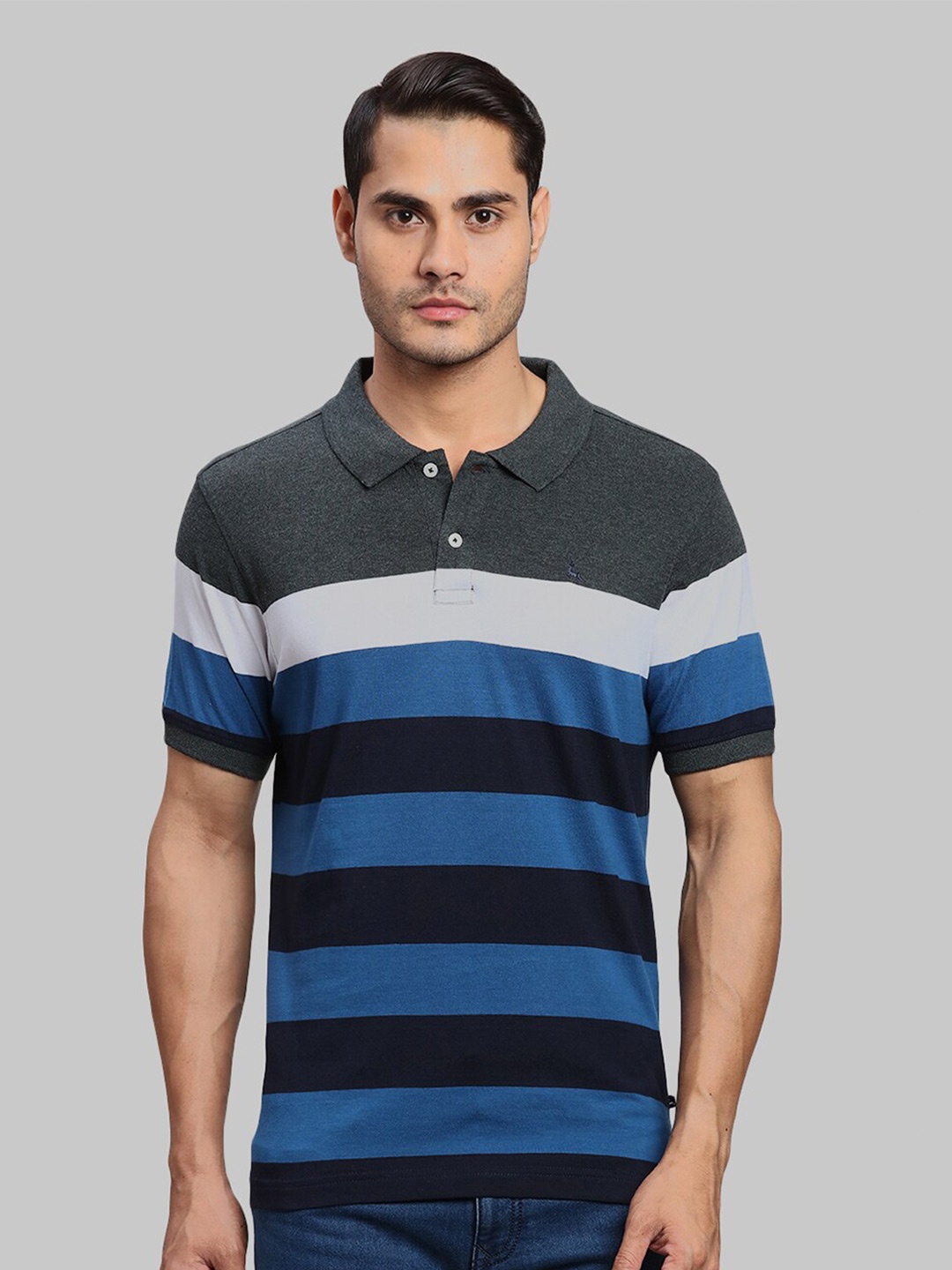 

Parx Striped Polo Collar Cotton T-shirt, Grey