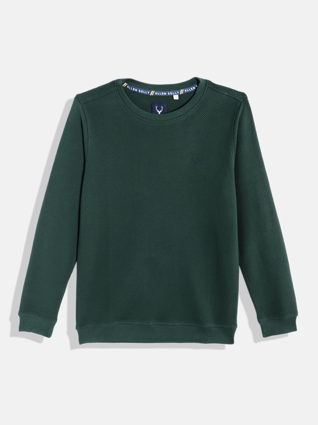 

Allen Solly Junior Boys Self Design Round Neck Sweatshirt, Green