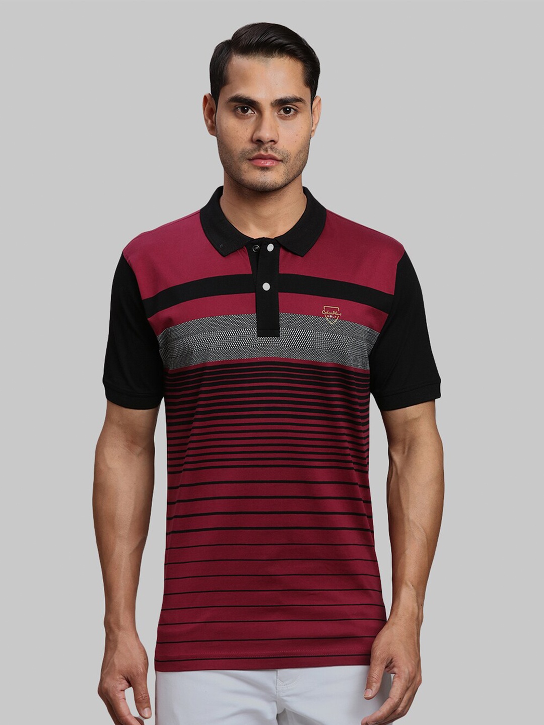 

ColorPlus Striped Polo Collar Cotton T-shirt, Maroon