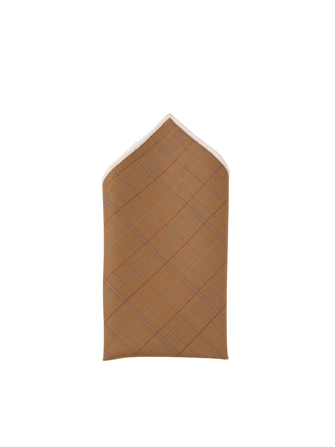 

Alvaro Castagnino Men Checked Pocket Squares, Brown